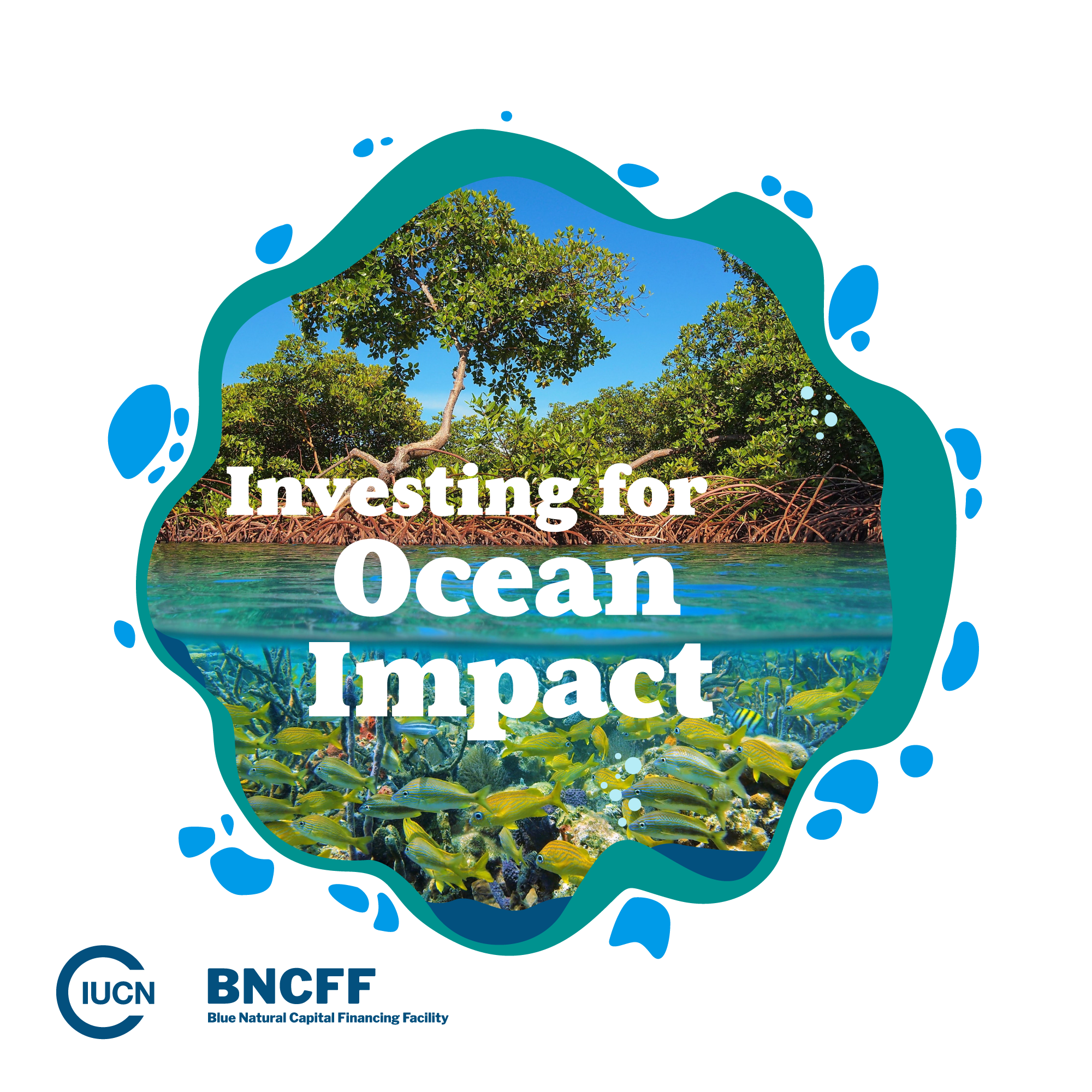 Investing for Ocean Impact
