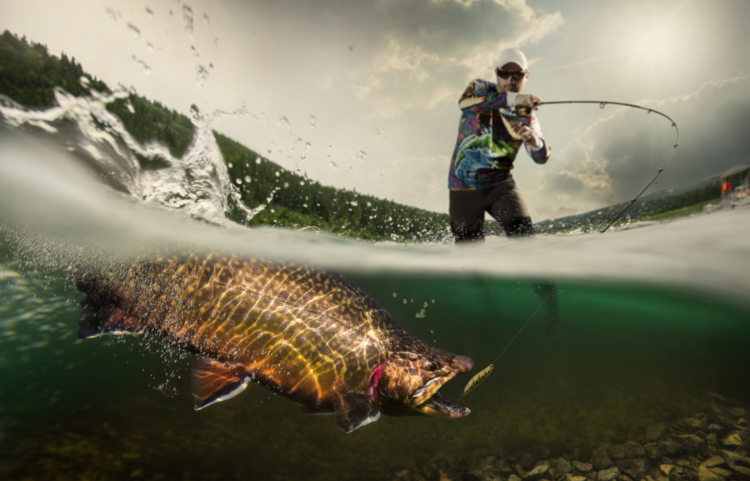 Fishing Tips and Audio’s Impact on Search
