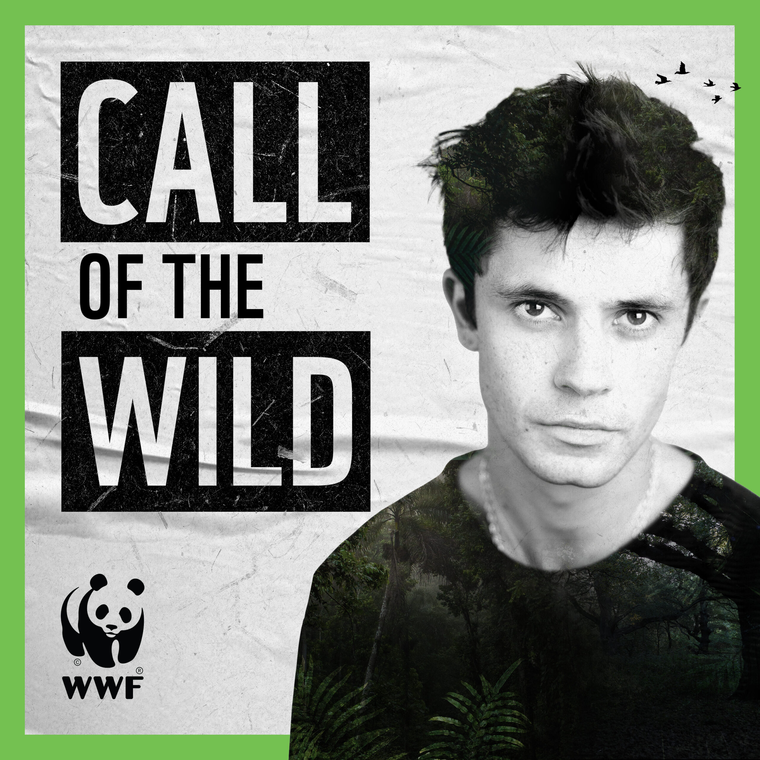 Call of the Wild